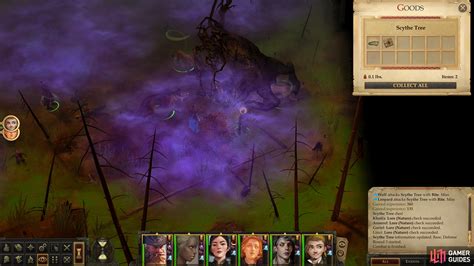 Pursuing witches in pathfinder kingmaker